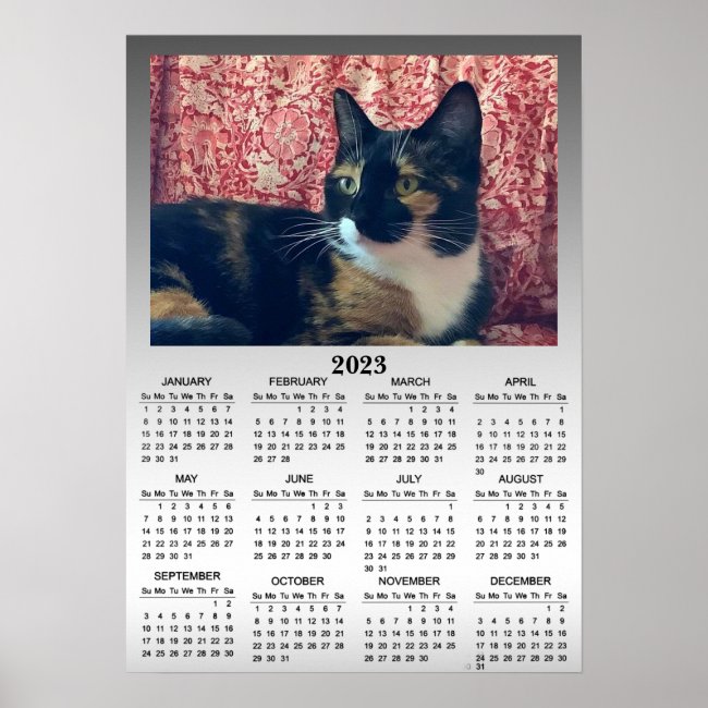 Black White Tortoiseshell Cat 2023 Calendar Poster