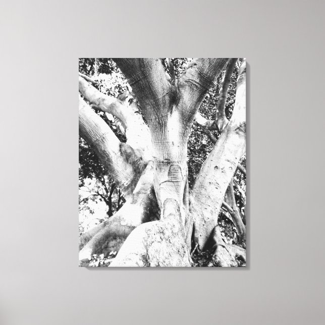 Black & White Tree Trunk Photo Canvas Print (Front)