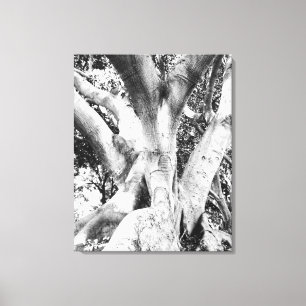 Black & White Tree Trunk Photo Canvas Print