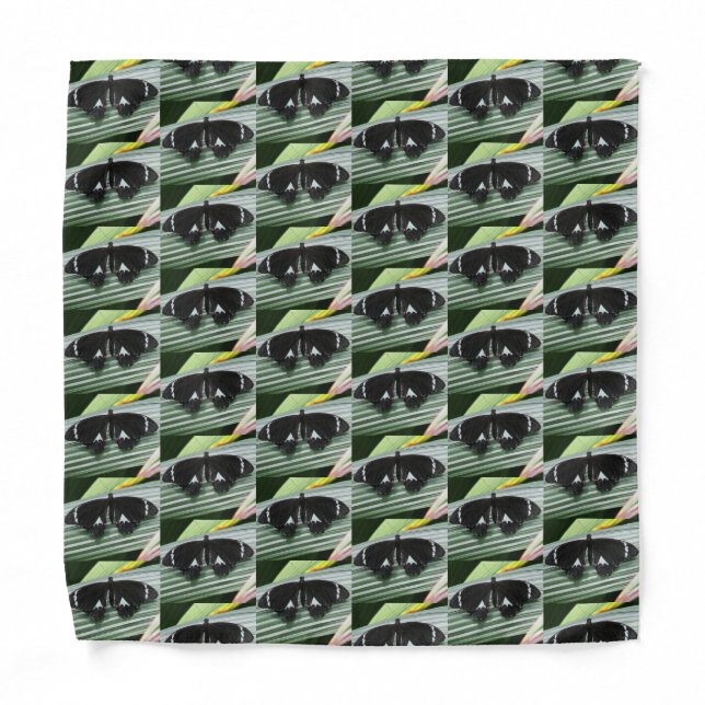 Black & White Tropical Butterfly  Bandana (Front)