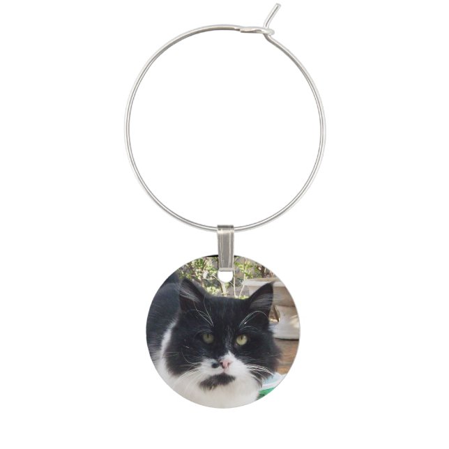 BLACK WHITE TURKISH CAT PORTRAIT WINE CHARM (Front)