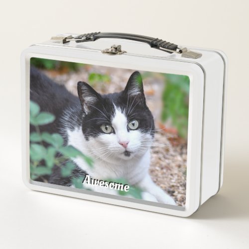 Black  White Tuxedo Cat Custom Photo Metal Lunch Box