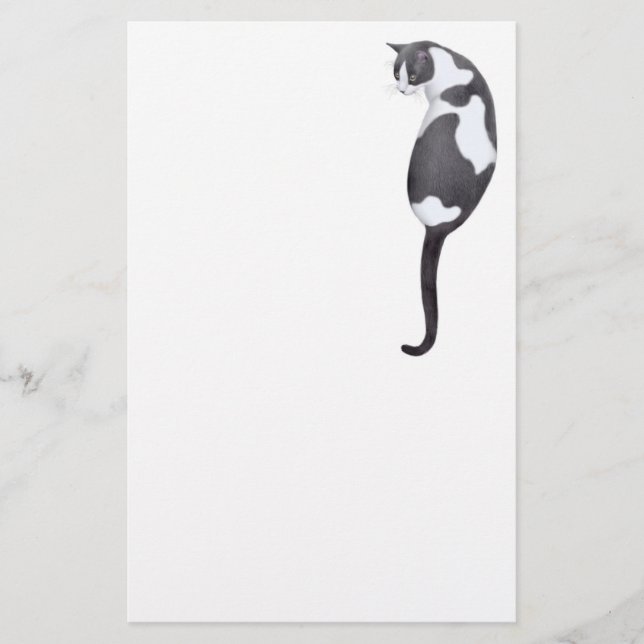 Black & White Tuxedo Cat Stationery (Front)