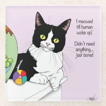 Black White Tuxedo Funny Cat Glass Coaster by tigressdragon at Zazzle