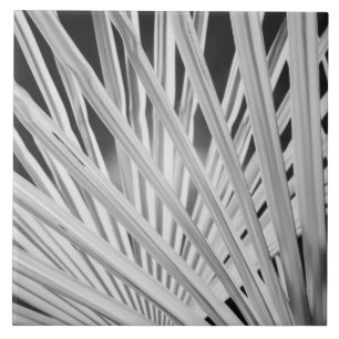 Black & White view of palm tree fronds Ceramic Tile