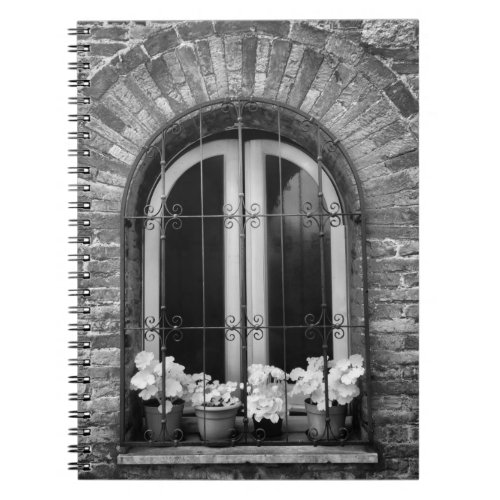 Black  White view of window and flower pots Notebook