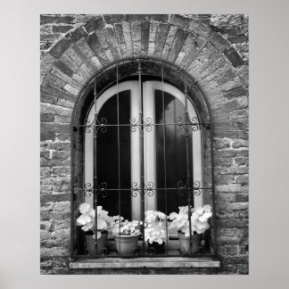 Black & White view of window and flower pots Poster
