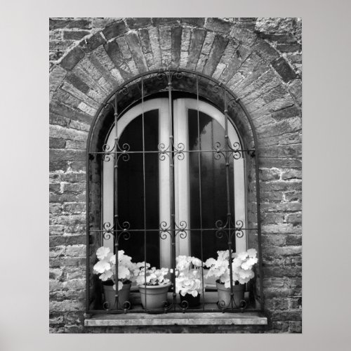 Black  White view of window and flower pots Poster