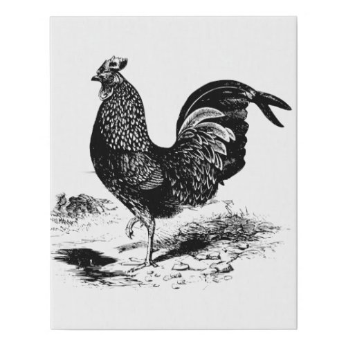 Black white Vintage rooster home office decor Faux Canvas Print