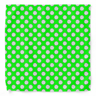 Black/White Volleyball Balls, Lime Green Bandana