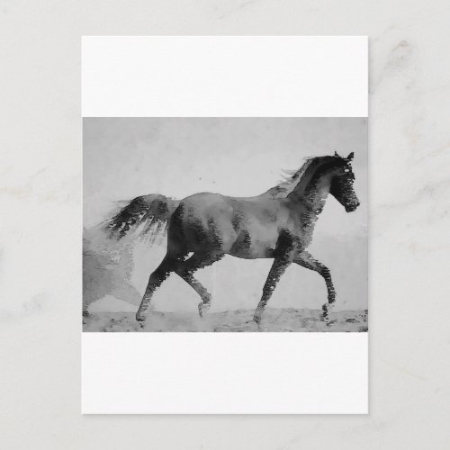 Black  White Walking Horse Postcard