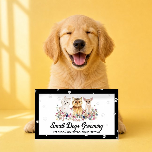 Watercolor Dog Branding
