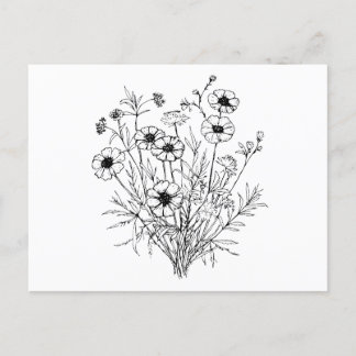 Black White Wildflowers Line Art Postcard