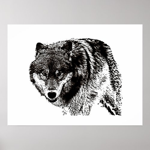 Black  White Wolf Art Poster