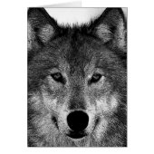 Black & White Wolf Artwork (Front)