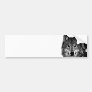 Black & White Wolf Artwork Bumper Sticker