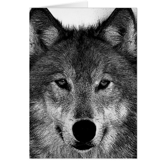 Black & White Wolf Artwork Cards (Front)
