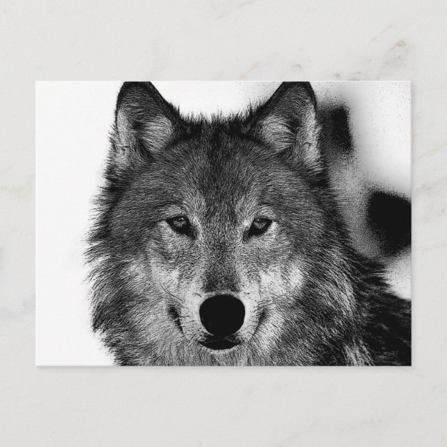 Black & White Wolf Artwork Holiday Postcard (Front)