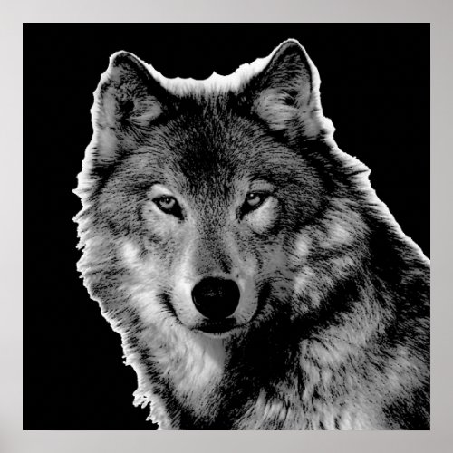 Black  White Wolf Artwork Poster