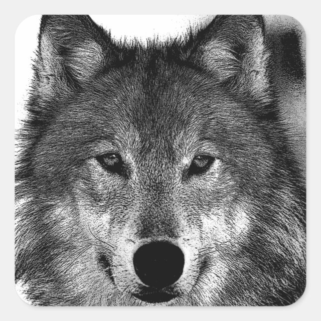 Black & White Wolf Artwork Square Sticker (Front)