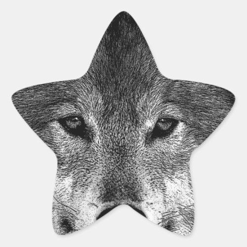 Black  White Wolf Artwork Star Sticker
