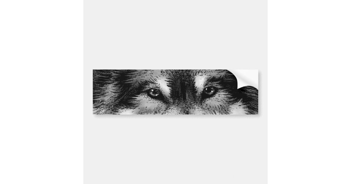 Black & White Wolf Bumper Sticker Zazzle