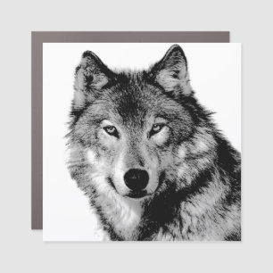 Black & White Wolf Car Magnet