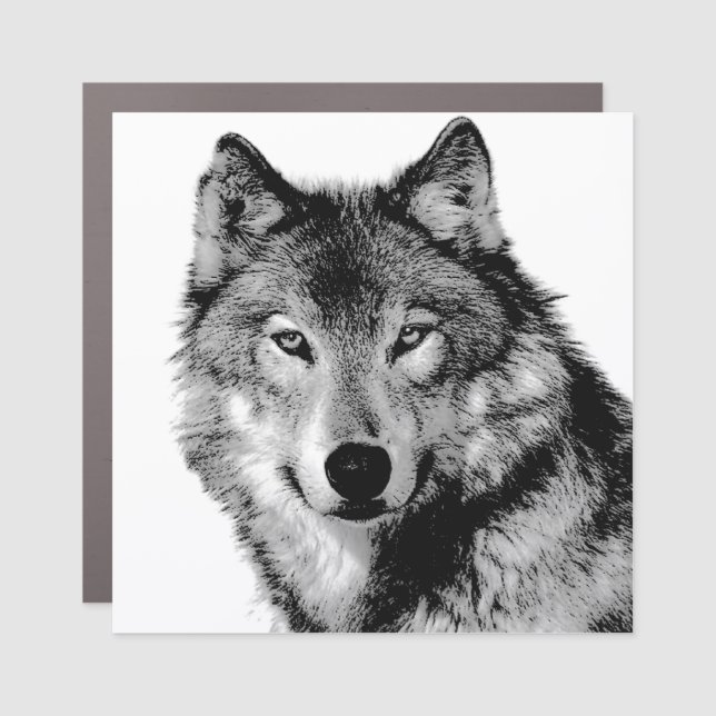 Black & White Wolf Car Magnet (Front)