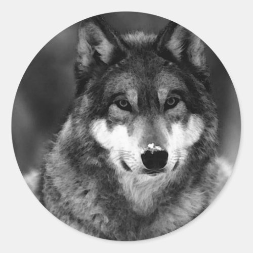 Black  White Wolf Classic Round Sticker