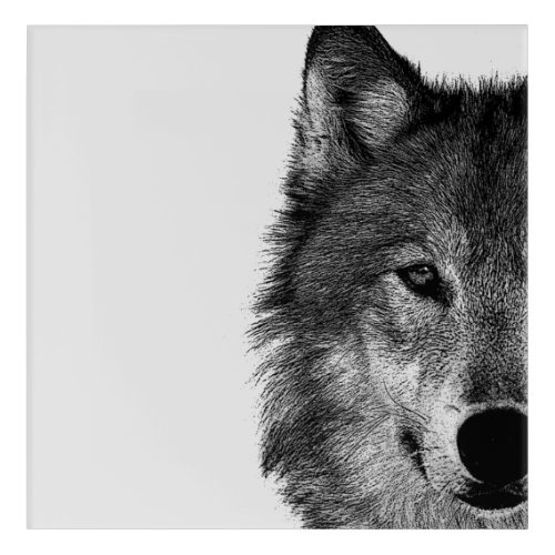 Black  White Wolf Eye Artwork Acrylic Print
