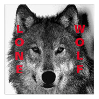 Black & White Wolf Eye Artwork