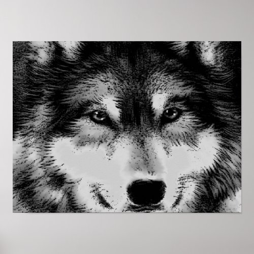 Black  White Wolf Eyes Poster