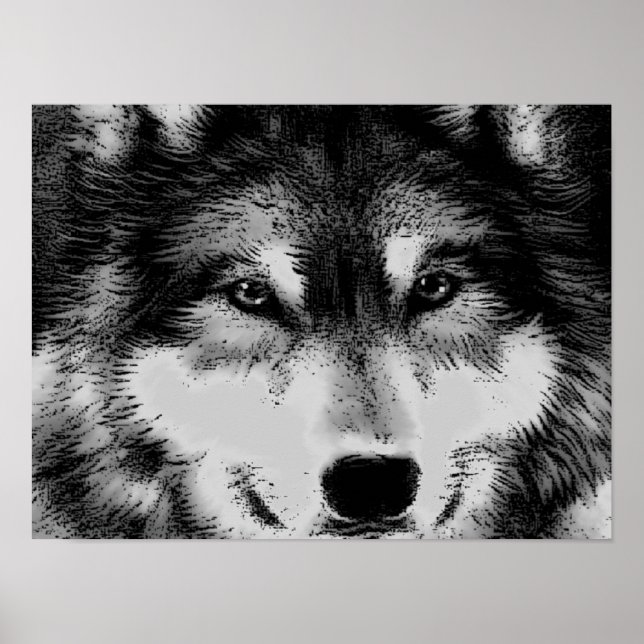Black & White Wolf Eyes Poster (Front)