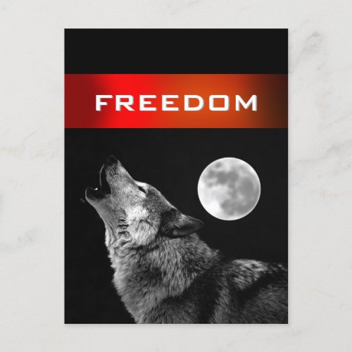 Black White Wolf Howling at Moon Freedom Postcard