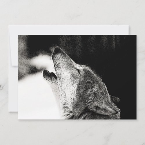 Black  White Wolf Howling at Moon Invitation