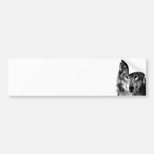 Black & White Wolf Portrait Bumper Sticker