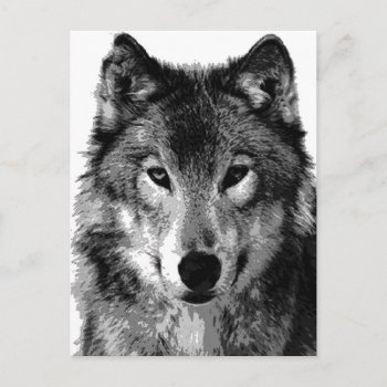 Black & White Wolf Portrait Postcard by hizli_art at Zazzle