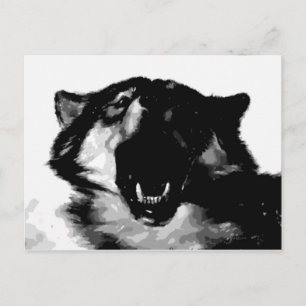 Black & White Wolf Postcard