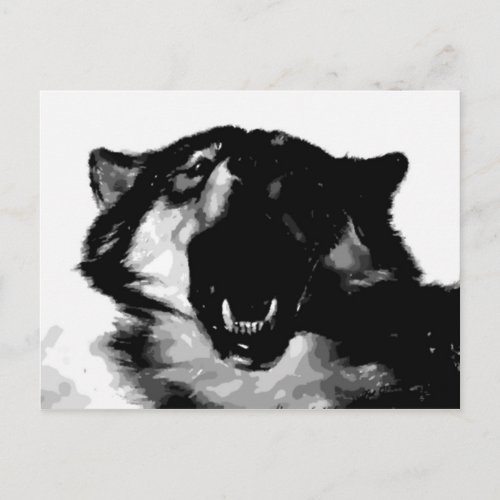 Black  White Wolf Postcard