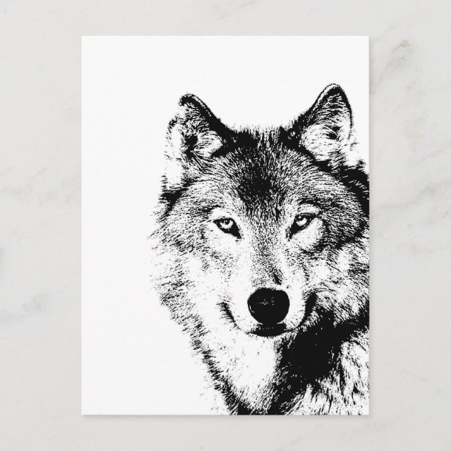 Black & White Wolf Postcard (Front)