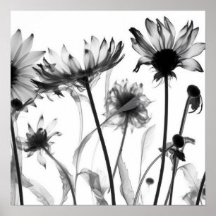 Black & White X-Ray Flowers Poster