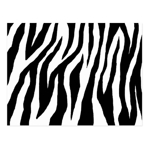 Black & White Zebra Print Postcard | Zazzle