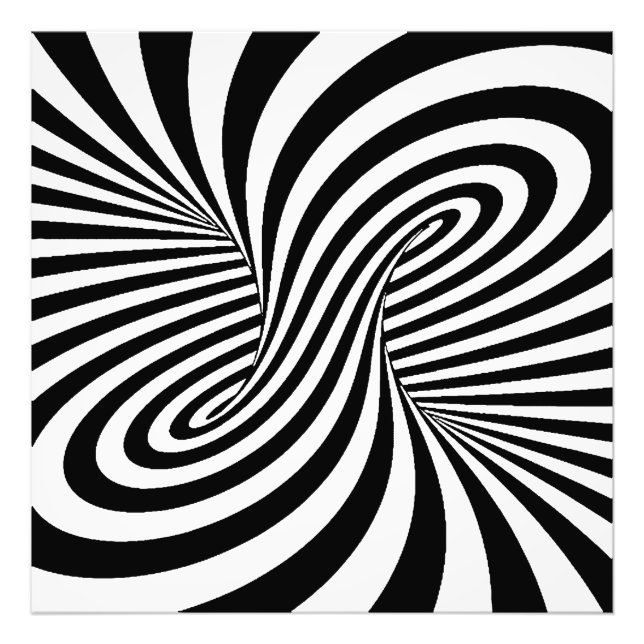BLACK WHITE ZEBRA SWIRLS PATTERNS OPTICAL ILLUSION PHOTO PRINT (Front)