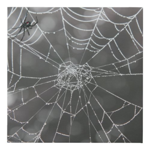 Black Widow in Spider Web Halloween Faux Canvas Print