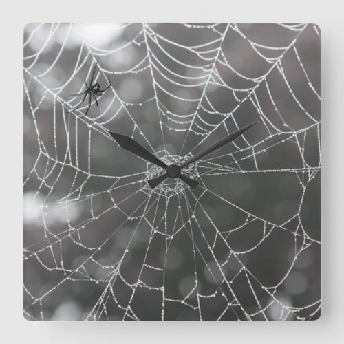 Black Widow in Spider Web  Halloween Square Wall Clock