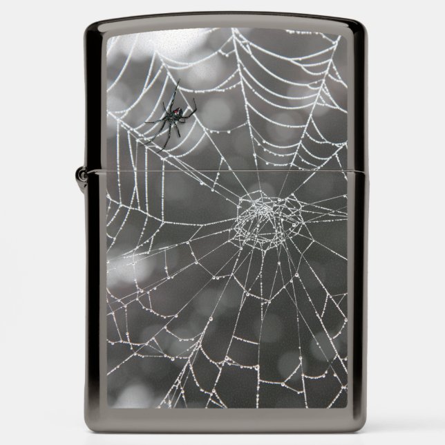 Zippo Lighters Classic Zippo Spider Web Skull Design 29931 – Real