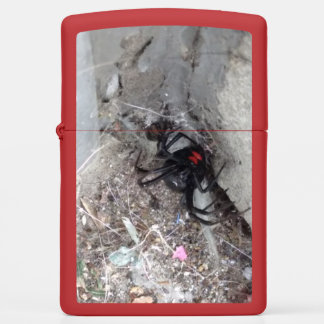 Black Widow on Red Zippo Lighter