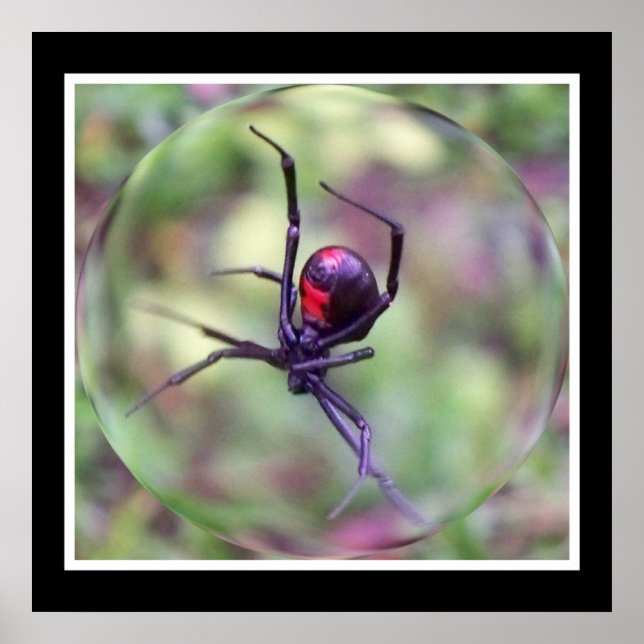 Black Widow Print (Front)