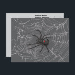 Black Widow Spider And Spiderweb Drawing Art Postcard<br><div class="desc">Postcard Post Card printed with Black Widow Spider And Spiderweb Drawing Art original hand drawn graphic design artwork illustration by TheFabricSeal print on demand shop at Zazzle.com #ZazzleMade ©️Original. https://www.zazzle.com/store/thefabricseal Celebrate Halloween and Goth any time of the year with our cool looking black colored with red marking widow species spider...</div>