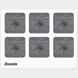 Black Widow Spider And Spiderweb Drawing Art Square Sticker